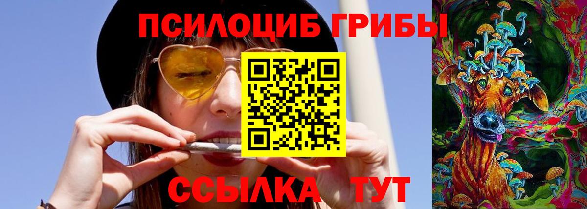 Псилоцибиновые грибы ЛСД  купить  сайты  Псилоцибиновые грибы Psilocybe  Орск  Вход с VPN 