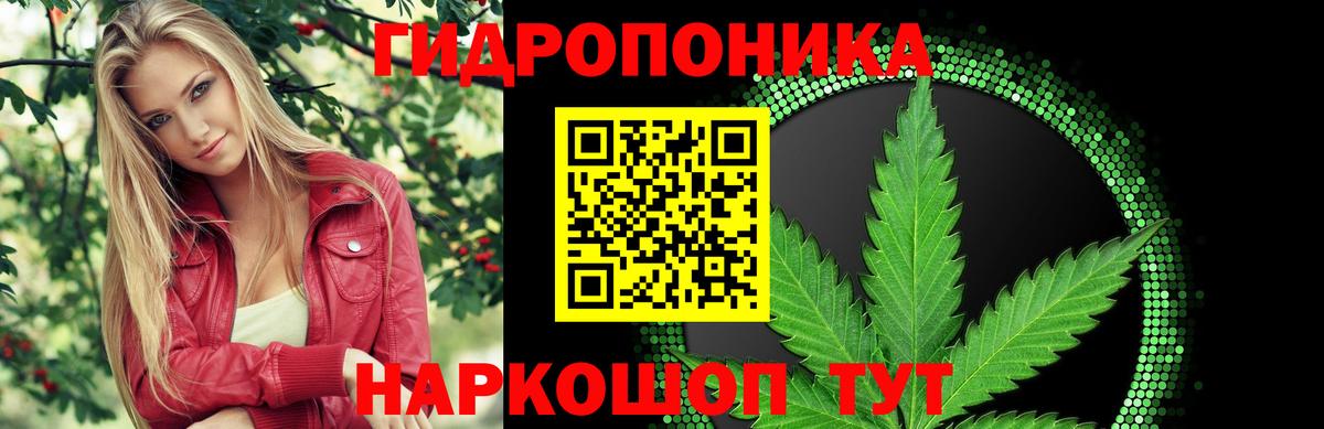 Бошки марихуана планчик Орск
